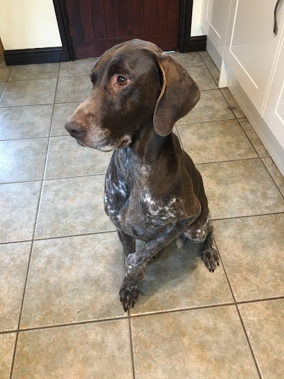 Gordon Lochrie B.V.M.S M.R.C.V.S