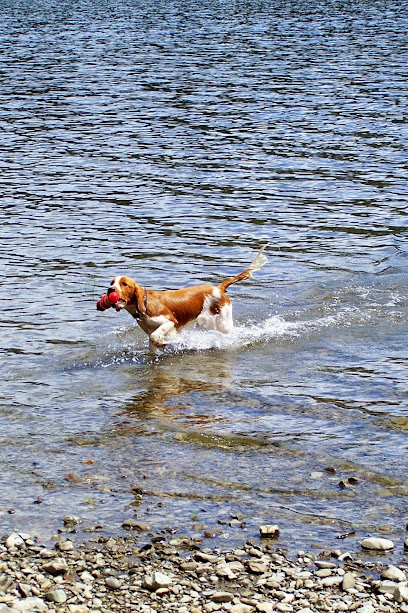 Greenbay Vets - Torquay
