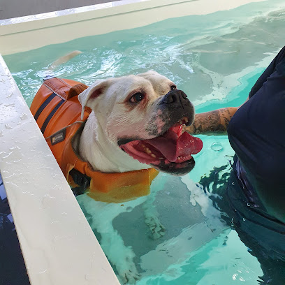 Hainault Hydrotherapy