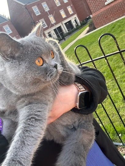 Happy Cats Clinic