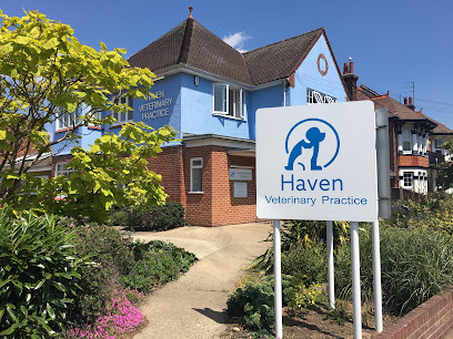 Haven Veterinary Practice