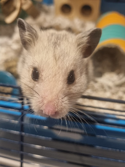 Highfield Veterinary Surgery