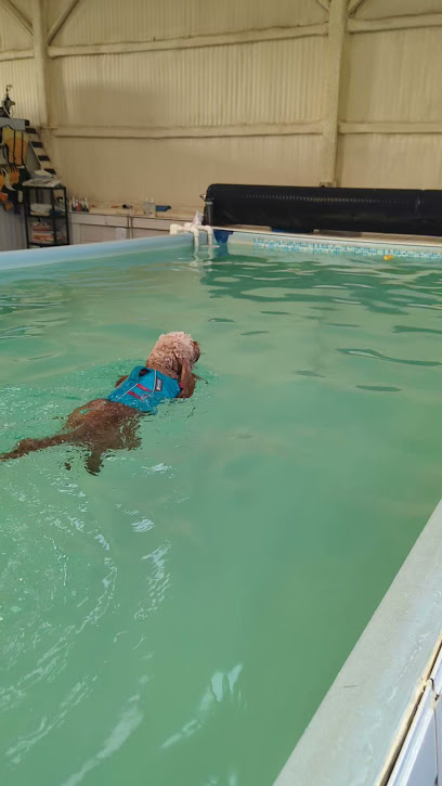 Highwood Canine Hydrotherapy