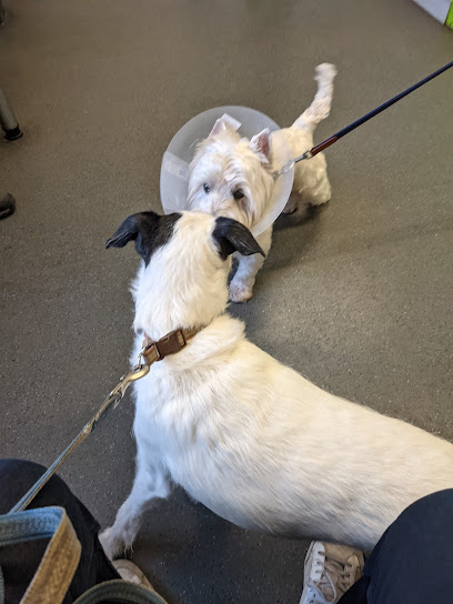 Hill's Veterinary Practice Ltd