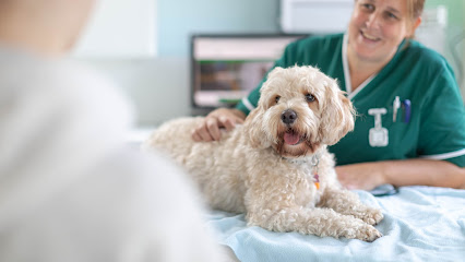 Holders Hill Veterinary Surgery