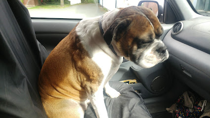 Holmer Veterinary Surgery