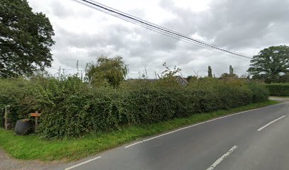 Holnest Park Equine Vets