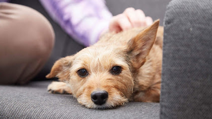 Holtspur Veterinary Clinic - Beaconsfield (Active Vetcare)