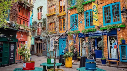 Home Vets Central London Ltd