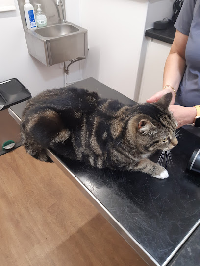 Hornsey Vets and Cattery