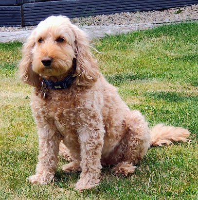 Howells Veterinary Services Ltd