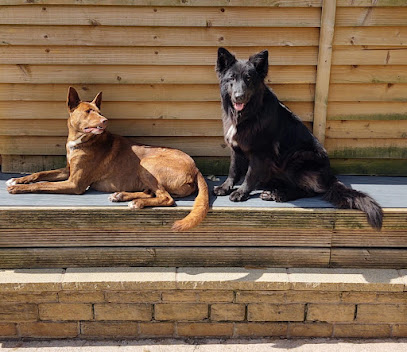 Ian McConnell Veterinary Practice Limited