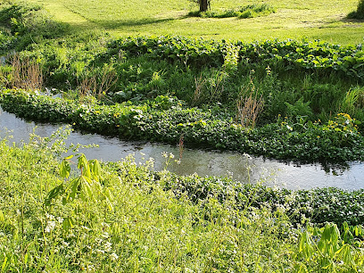 Icknield Veterinary Group Ltd