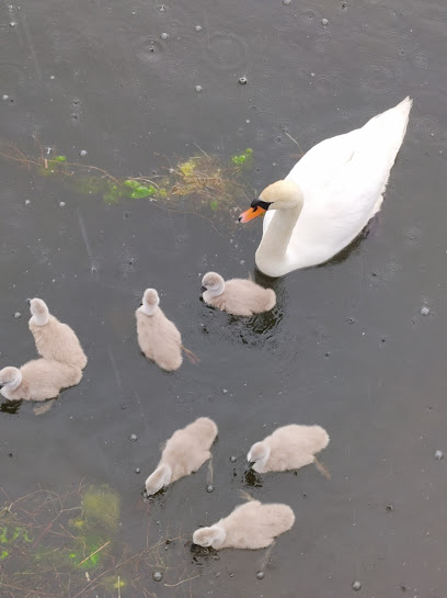Inverness Disease Surveillance Centre