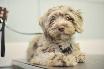 Island Veterinary Centre