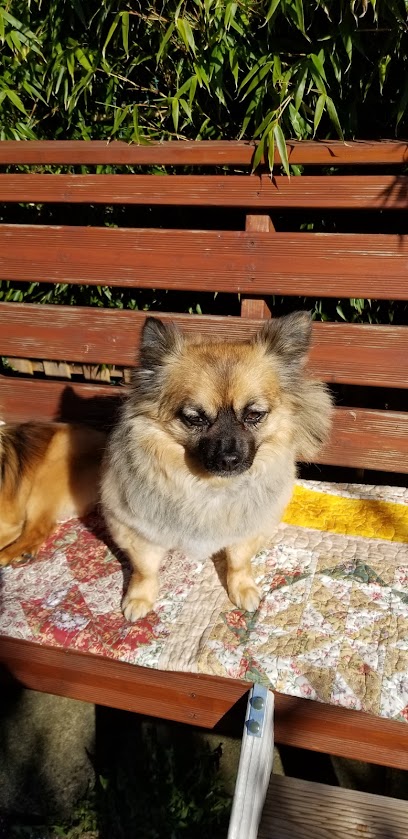 Jacqui Paterson’s Vets