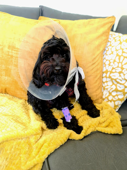 Johnson & Wood Veterinary Practice Ltd