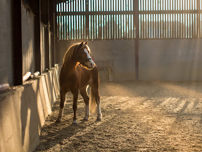 Kernow Farm & Equine