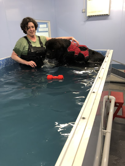 Kernow Paws Rehabilitation