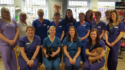King's Road Veterinary Practice Ltd