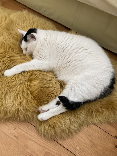 Kingsferry Veterinary Surgery