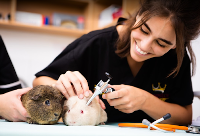 Kingston Veterinary Group