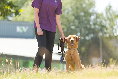 Kirks Vets