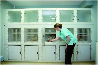 Kitten to Cat - cat only veterinary clinic