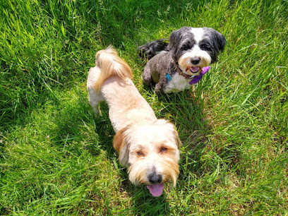 Knutsford Veterinary Surgery I Vets in Knutsford