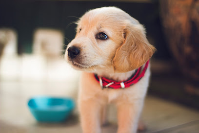 Lady Dane Veterinary Centre