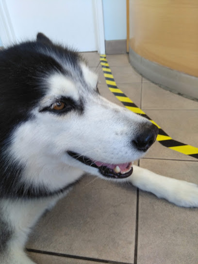 Lawton & Stoakes Veterinary Surgery