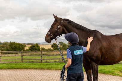 Loch Leven Equine Practice
