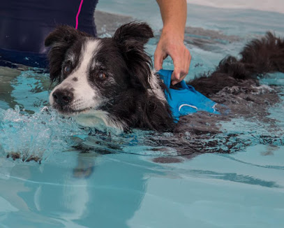 Lornik Animal Hydrotherapy Centre