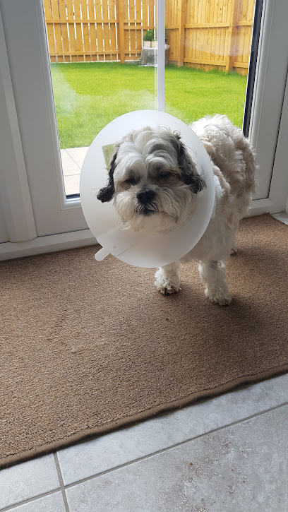 Lurgan Veterinary Clinic