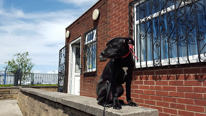 Manchester Street Veterinary Surgery - Oldhams Only Independant Vets