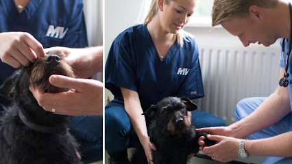 Manchester Veterinary Specialists