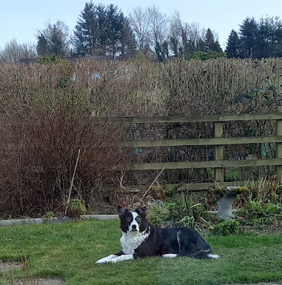 Marches Veterinary Group