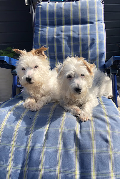 Marches Veterinary Group