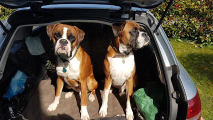 Margetts & Associates Veterinary Surgeons