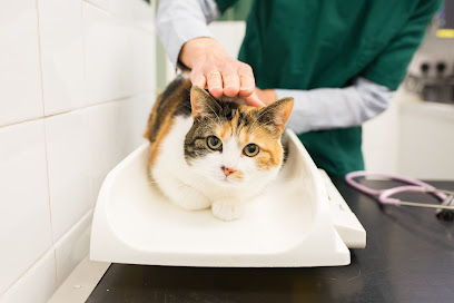Market Veterinary Centre