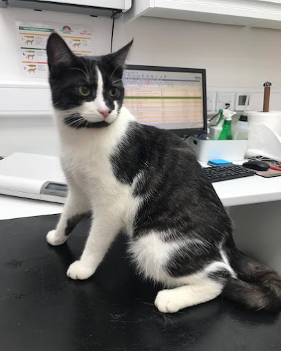 Marshalswick Veterinary Surgery