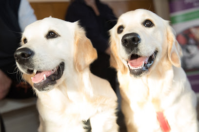 Mearley Veterinary Group