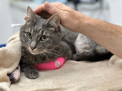 Medivet 24 Hour Dorchester - Southfields