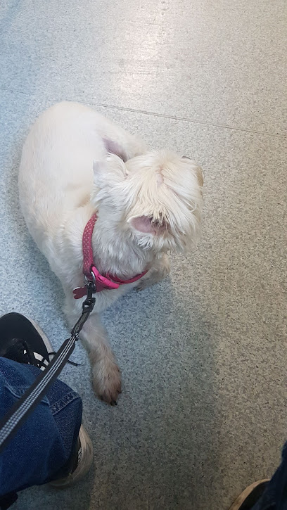 Medivet Epsom Pound Ln - Wingrave Vets