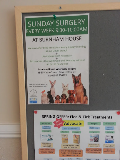 Medivet Folkestone Dover Rd - Havelock Veterinary Surgery