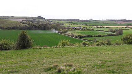 Medivet Folkestone Sandgate