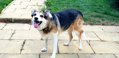 Medivet Goldthorpe - Arncliffe Veterinary Centre