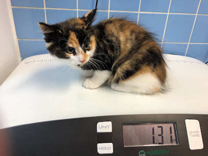 Medivet Hemel Hempstead Risedale Rd