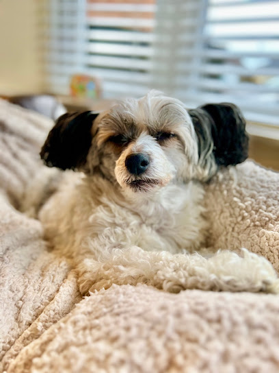 Medivet Hinckley Leicester Rd