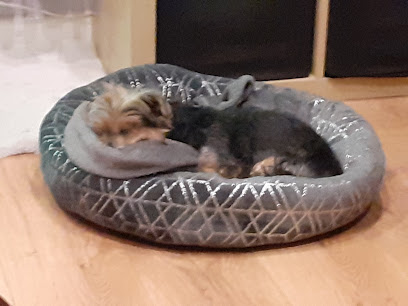 Medivet Liverpool Waterloo